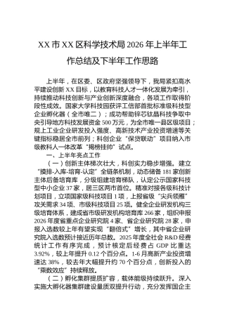XX市XX区科学技术局2026年上半年工作总结及下半年工作思路