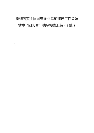 贯彻落实全国国有企业党的建设工作会议精神“回头看”情况报告（3篇）