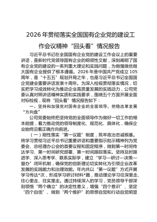 2026年贯彻落实全国国有企业党的建设工作会议精神“回头看”情况报告