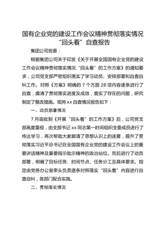 国有企业党的建设工作会议精神贯彻落实情况“回头看”自查总结报告4600字