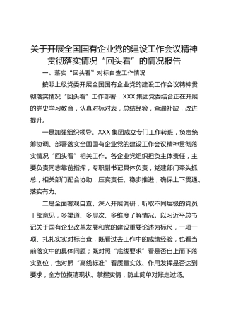 国有企业党的建设工作会议精神贯彻落实情况“回头看”情况报告7300字