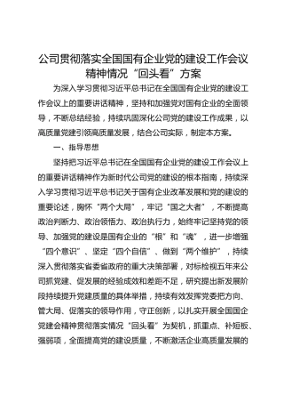 公司贯彻落实国企党的建设会议精神“回头看”工作方案4900字