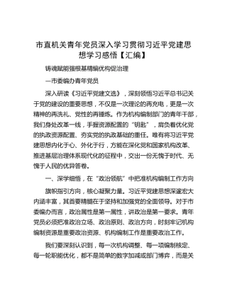 青年党员学习贯彻习近平党建思想学习心得体会发言3篇