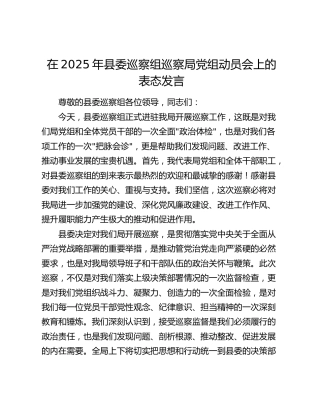 县委巡察组巡察局党组动员会上的表态发言