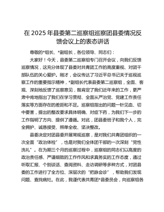 县委第二巡察组巡察团县委情况反馈会议上的表态讲话