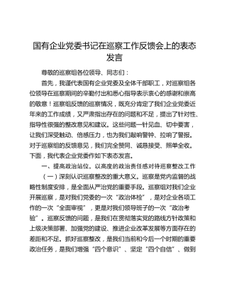 公司党委书记在巡察工作反馈会上的表态发言