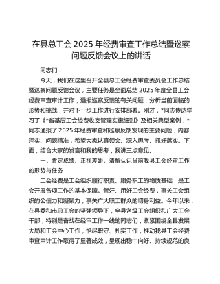 在县总工会经费审查工作总结暨巡察问题反馈会议上的讲话