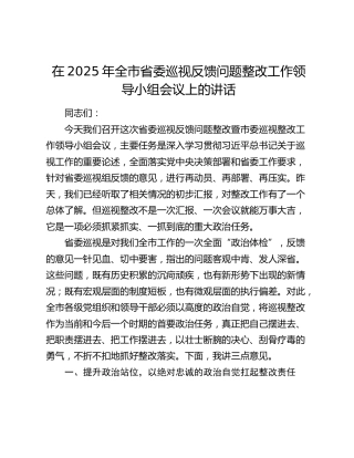 全市省委巡视反馈问题整改工作领导小组会议上的讲话