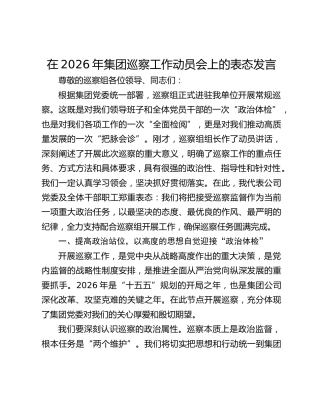 在2026年集团巡察工作动员会上的表态发言
