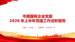 PPT：市属国有企业党委2026年上半年党建工作述职报告