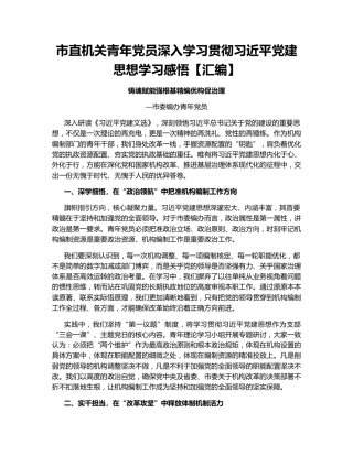 市直机关青年党员深入学习贯彻习近平党建思想学习感悟【汇编】