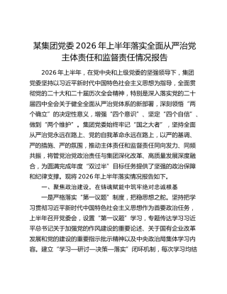 某集团党委2026年上半年落实全面从严治党主体责任和监督责任情况报告