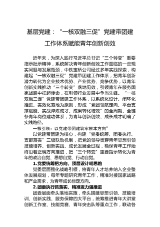 基层党建：“一核双融三促”党建带团建工作体系赋能青年创新创效