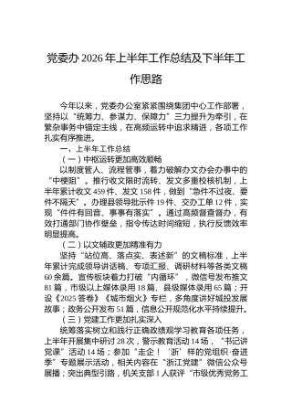 党委办2026年上半年工作总结及下半年工作思路