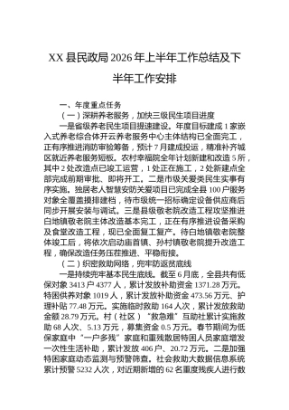 XX县民政局2026年上半年工作总结及下半年工作安排