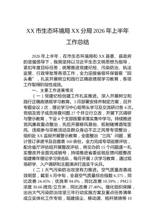 XX市生态环境局XX分局2026年上半年工作总结