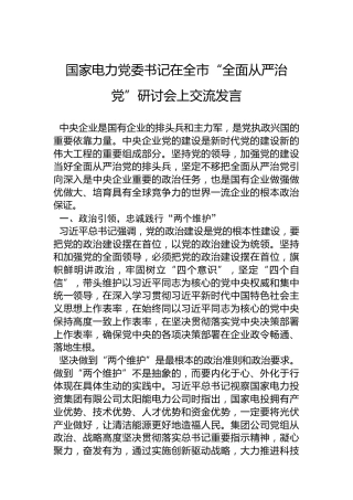 国家电力党委书记在全市“全面从严治党”研讨会上交流发言