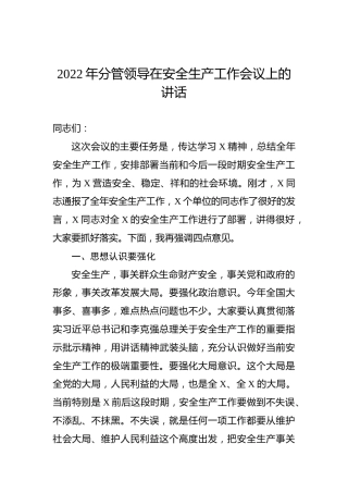 2022年分管领导在安全生产工作会议上的讲话
