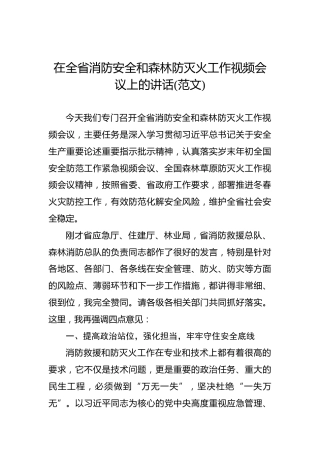 在全省消防安全和森林防灭火工作视频会议上的讲话(范文)