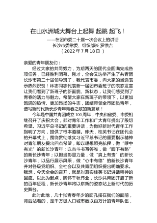 长沙市委常委、组织部长罗缵吉：在团市委二十届一次会议上的讲话（20220718）