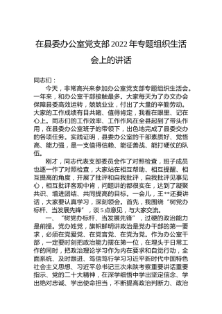 在县委办公室党支部2022年专题组织生活会上的讲话