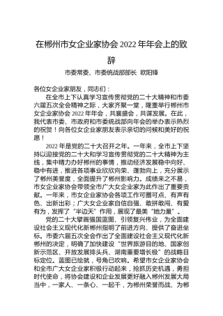 欧阳锋：在郴州市女企业家协会2022年年会上的致辞（20221216）