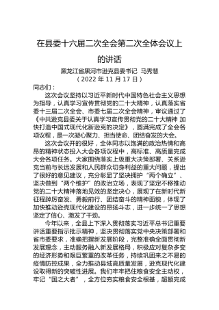 2022年终全会报告——在县委十六届二次全会第二次全体会议上的讲话（20221117）