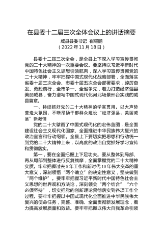 威县县委书记崔耀鹏：在县委十二届三次全体会议上的讲话摘要（20221118）