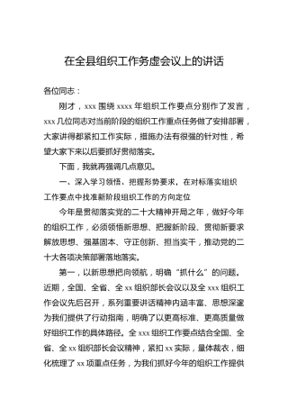 2023年在全县组织工作务虚会议上的讲话