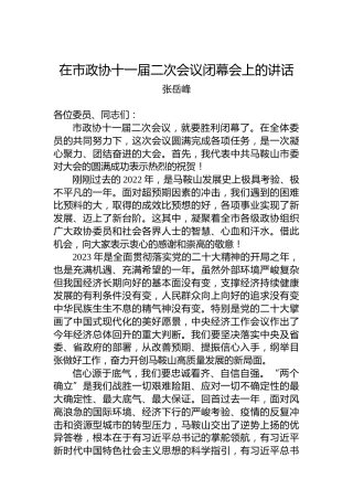 张岳峰：在市政协十一届二次会议闭幕会上的讲话（20230101）