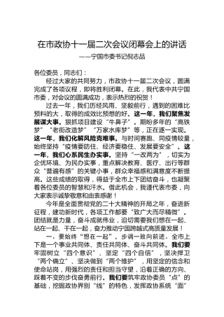宁国市委书记倪志品在市政协十一届二次会议闭幕会上的讲话（20230106）