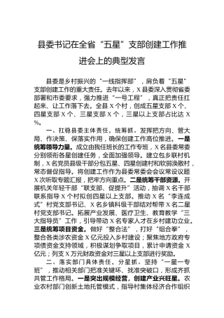 【党建工作】县委书记在全省“五星”支部创建工作推进会上的典型发言
