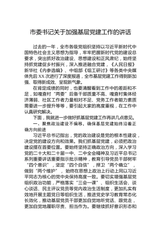 2023年市委书记关于加强基层党建工作的讲话