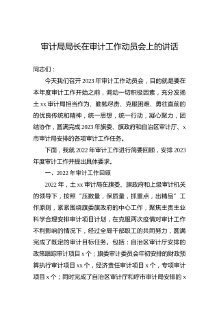 审计局局长在2023年审计工作动员会上的讲话