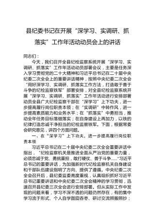 县纪委书记在2023年开展“深学习、实调研、抓落实”工作年活动动员会上的讲话