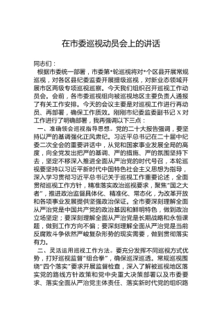 2023年在市委巡视动员会上的讲话