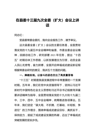 在县委十三届九次全委（扩大）会议上讲话