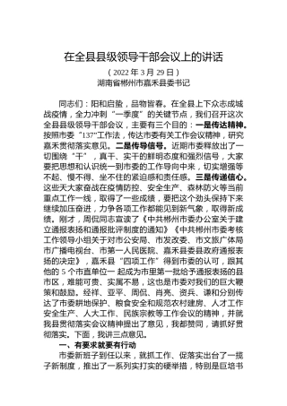 2022年书记在全县县级领导干部会议上的讲话（20220329）