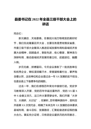 县委书记在2022年全县三级干部大会上的讲话