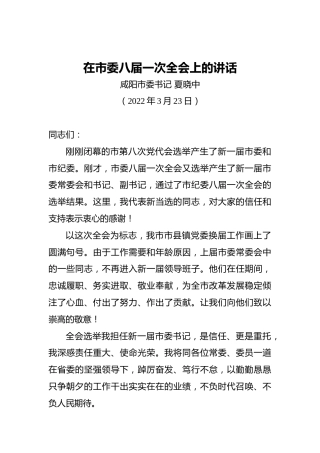 咸阳市委书记夏晓中：在市委八届一次全会上的讲话（20220323）