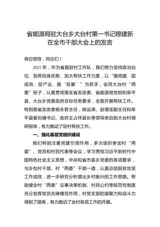 省能源局驻大台乡大台村第一书记穆建新在全市干部大会上的发言（20220213）
