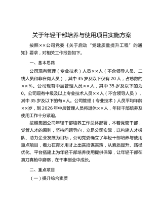 关于年轻干部培养与使用项目实施方案