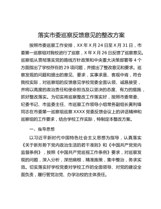 高校落实市委巡察反馈意见的整改方案