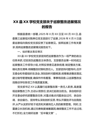 XX县XX学校党支部关于巡察整改进展情况的报告