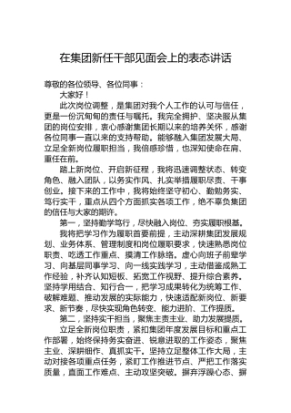 在集团新任干部见面会上的表态讲话
