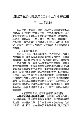 县自然资源和规划局2026年上半年总结和下半年工作思路