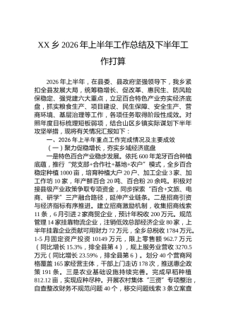 XX乡2026年上半年工作总结及下半年工作打算