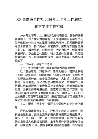XX县供销合作社2026年上半年工作总结和下半年工作打算