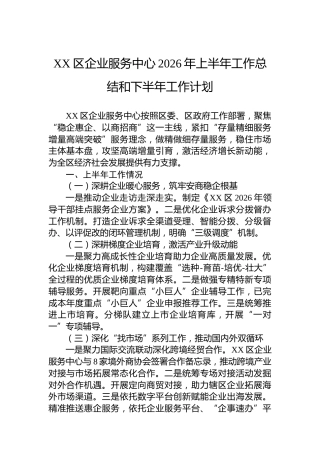 XX区企业服务中心2026年上半年工作总结和下半年工作计划