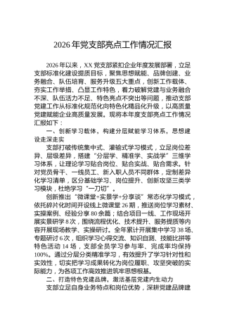 2026年党支部亮点工作情况汇报